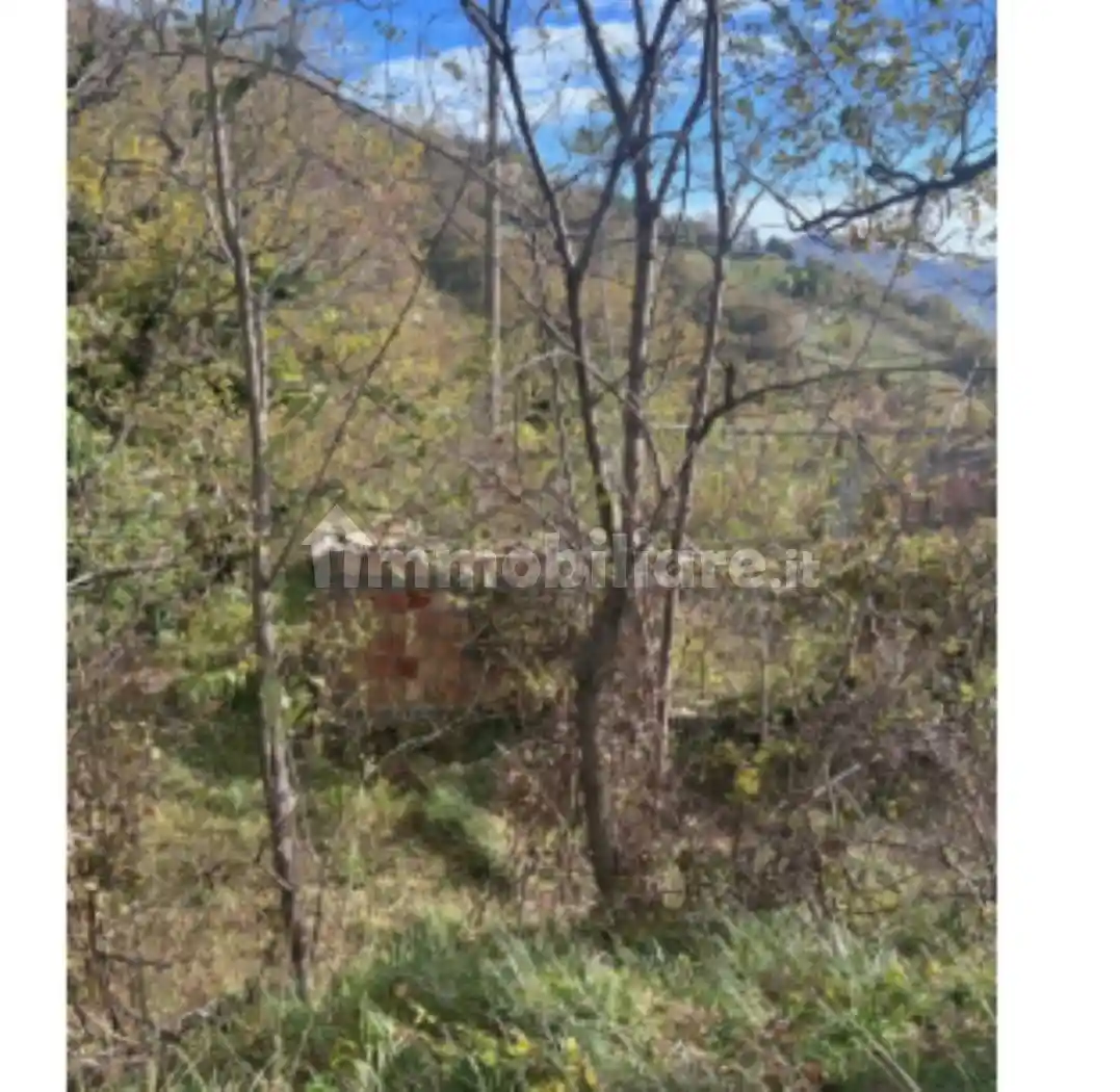 Rustico - Casale in vendita a Palazzuolo sul Senio