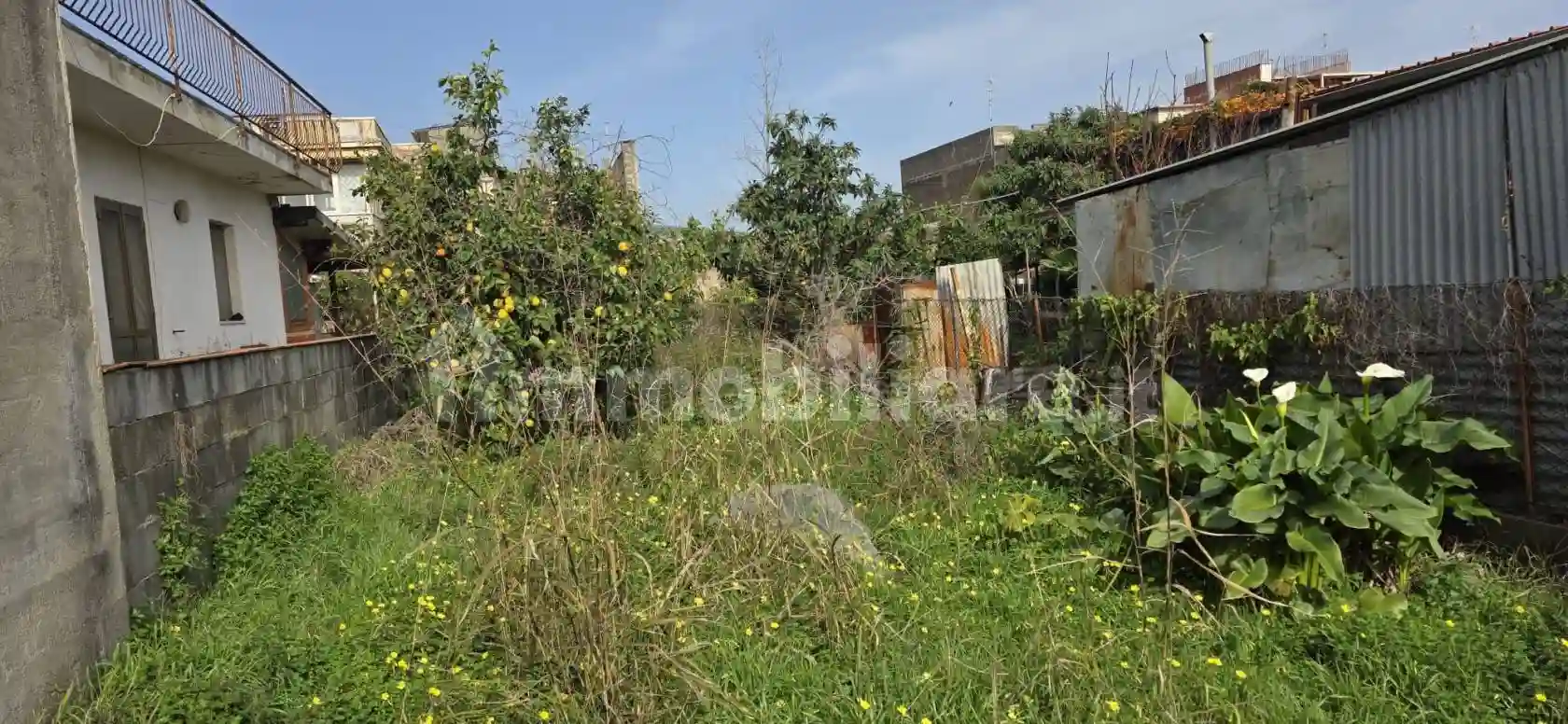 Palazzo - Edificio - foto 2