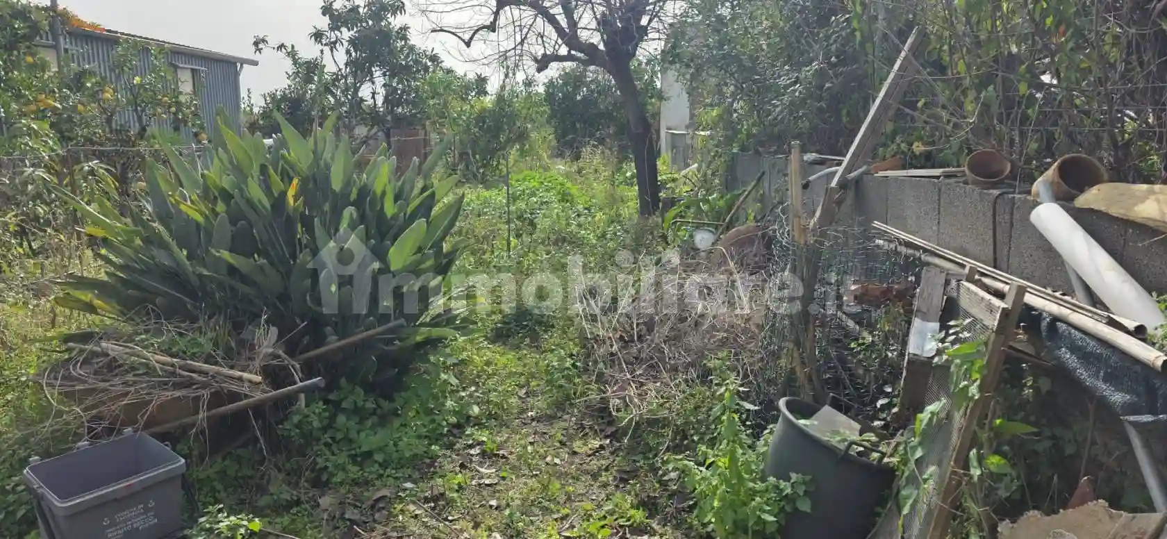 Palazzo - Edificio - foto 3