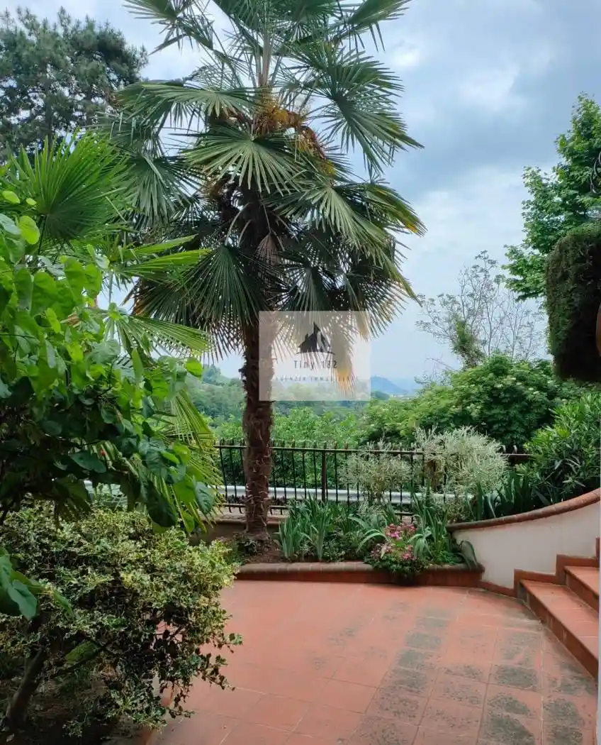 Appartamento in affitto a Bra