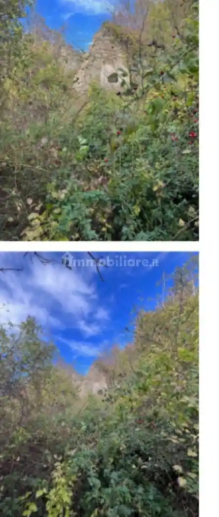 Rustico - Casale in vendita a Palazzuolo sul Senio