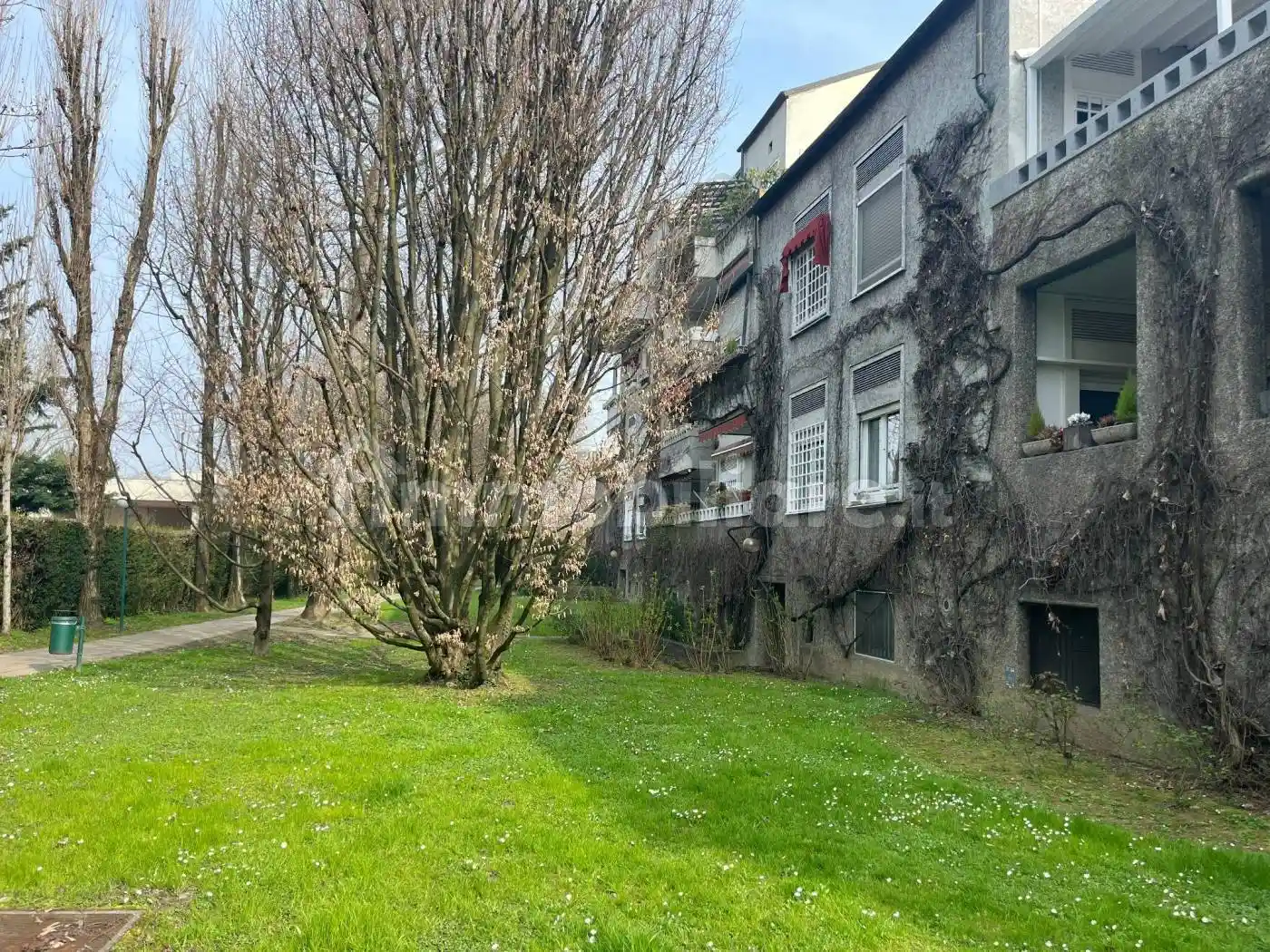 Appartamento in vendita a Segrate