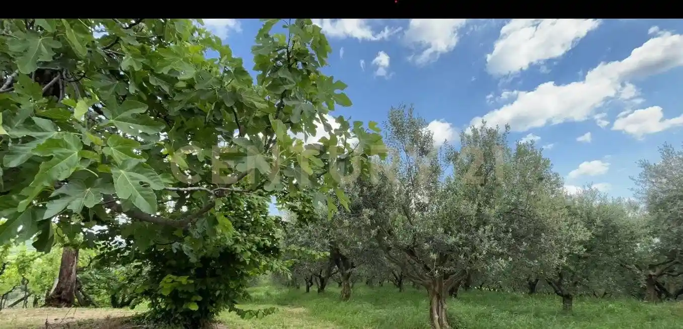 Rustico - Casale in vendita a Mezzane di Sotto