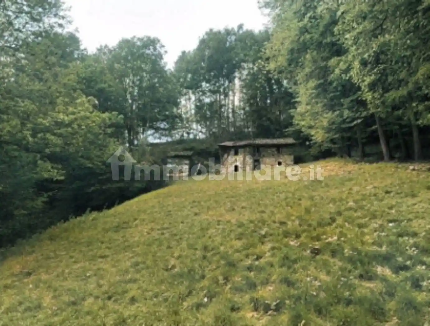 Rustico - Casale in vendita a Sagliano Micca