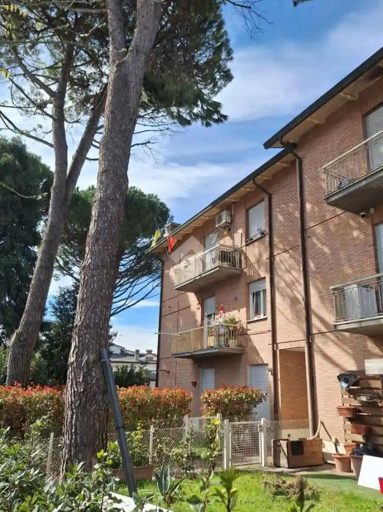 Appartamento in vendita a Bagnacavallo