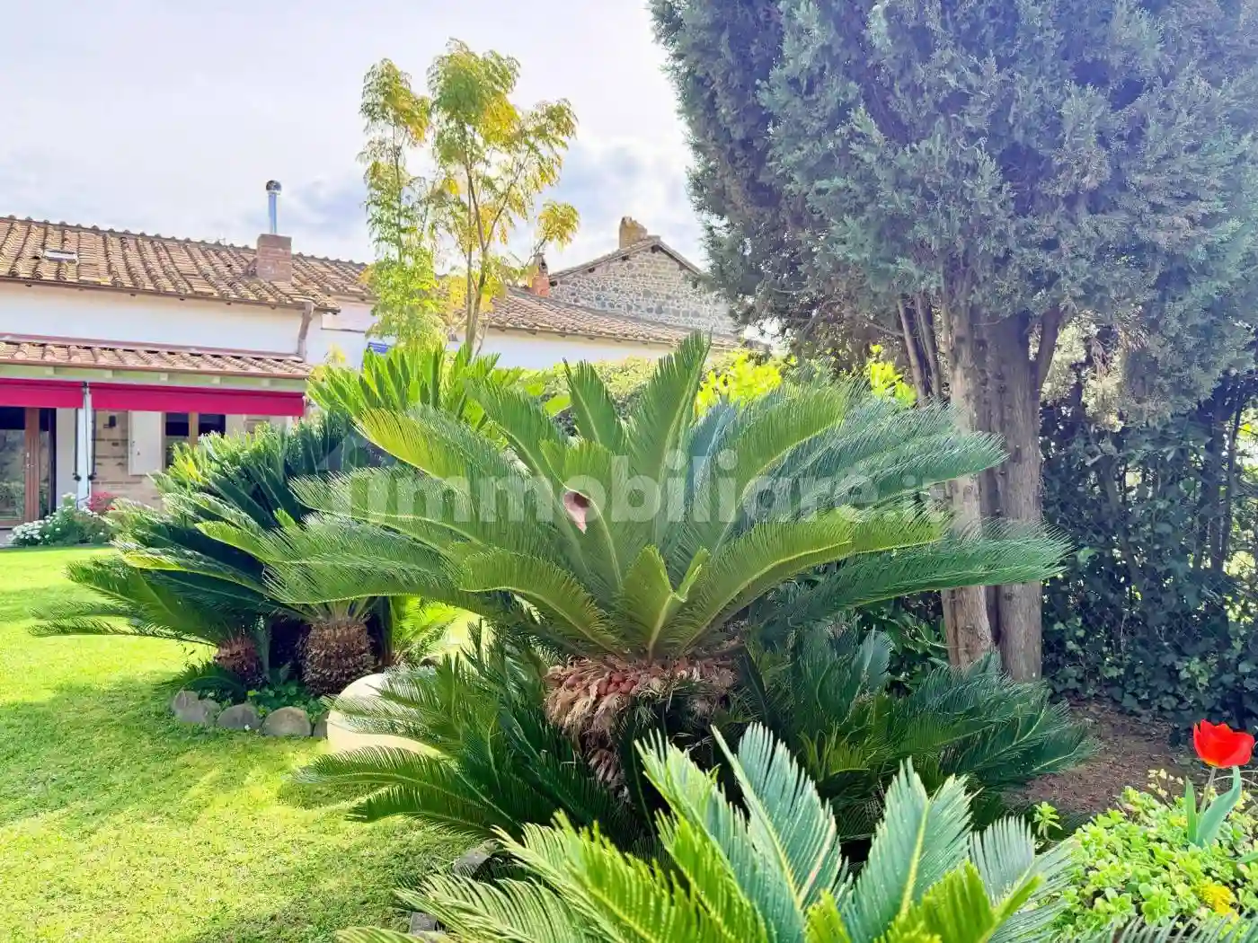 Rustico - Casale - foto 2