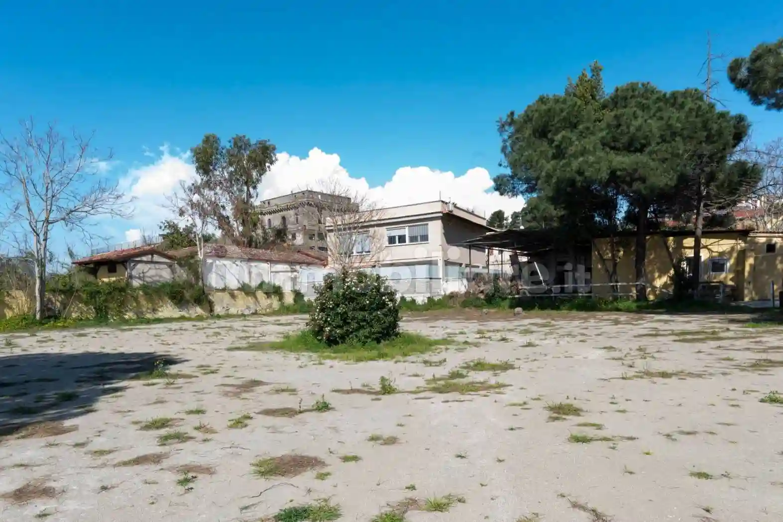 Palazzo - Edificio - foto 4