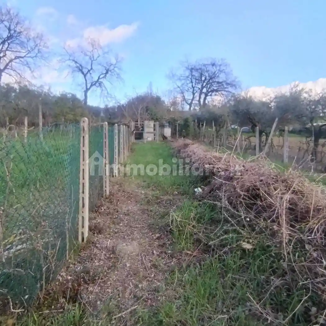 Villa in vendita a Coriano