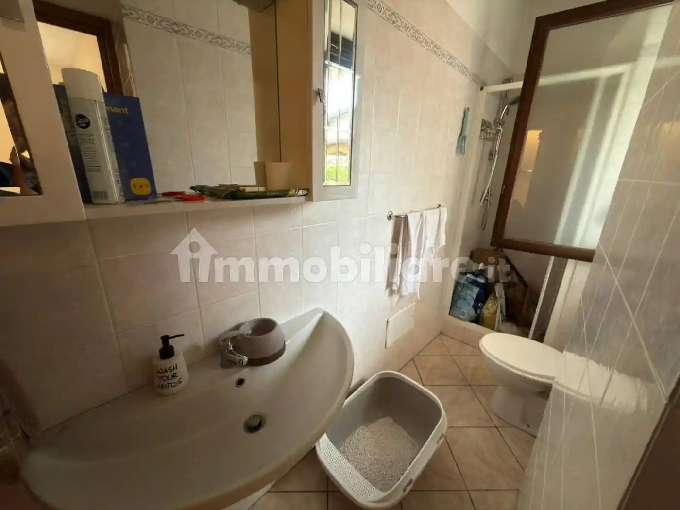 Appartamento in affitto a Vestignè