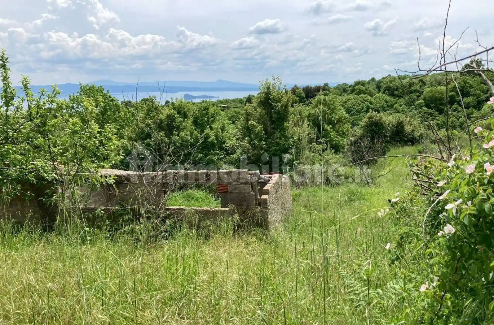 Rustico - Casale in vendita a Gradoli