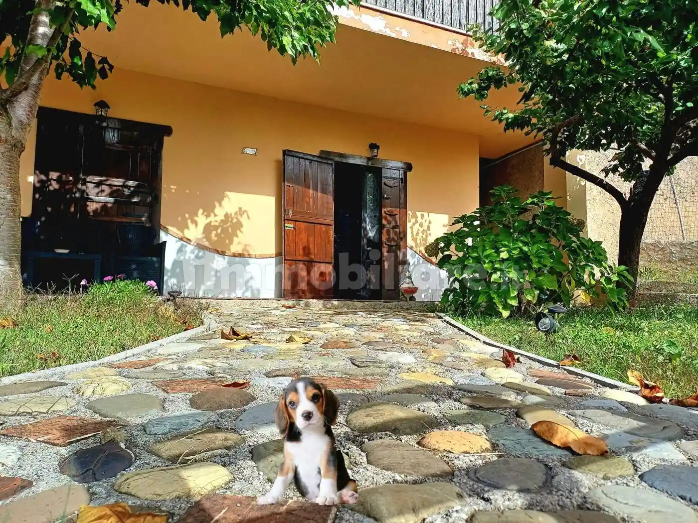 Villa in vendita a Trecchina