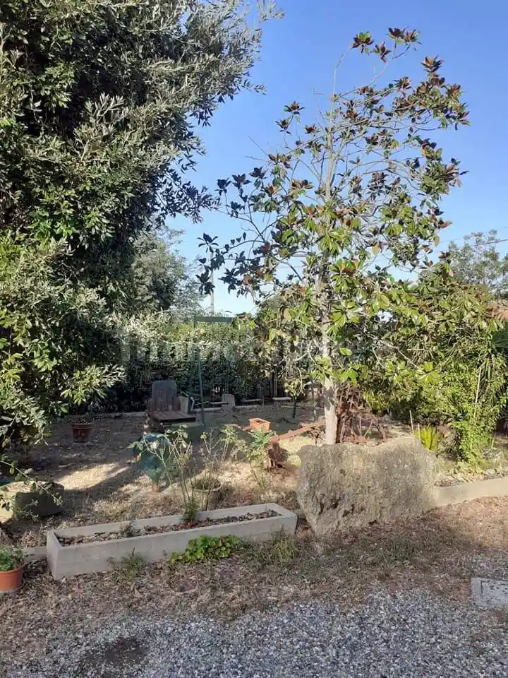 Rustico - Casale in vendita a Rosignano Marittimo