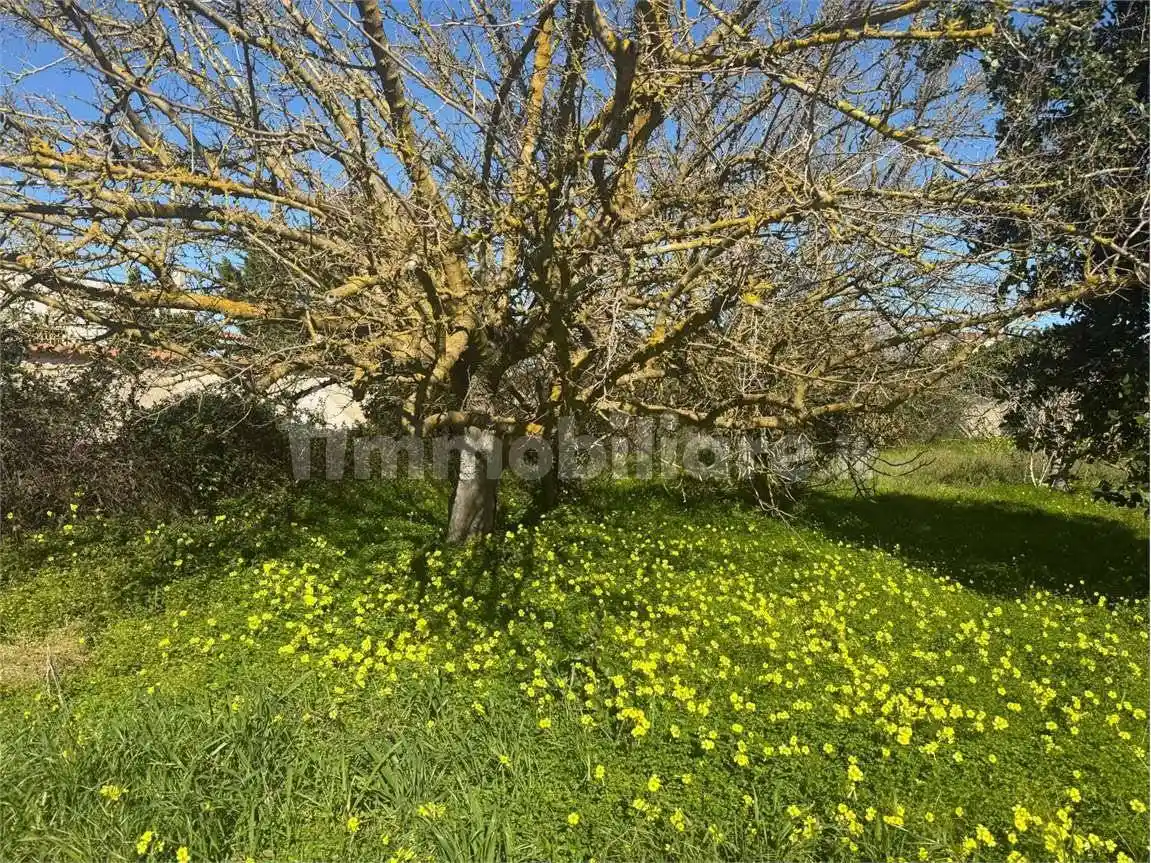 Casa indipendente in vendita a Cisternino