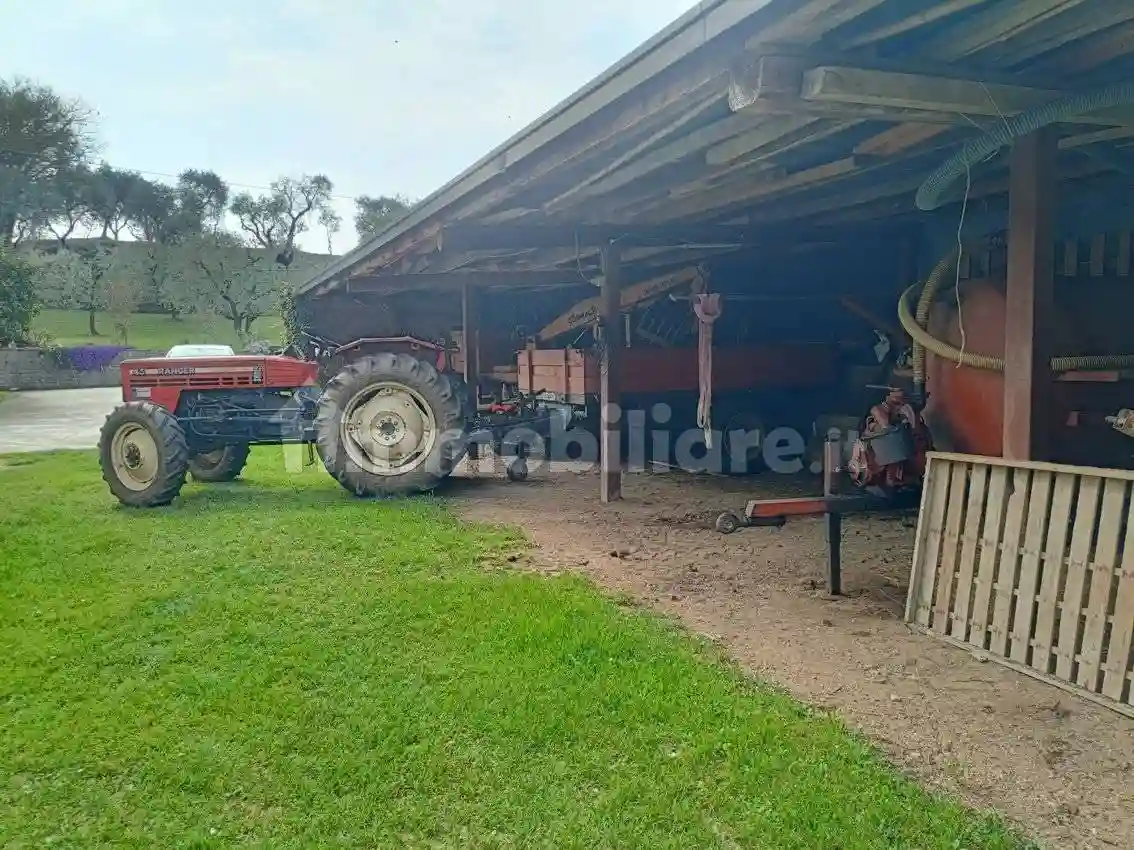 Rustico - Casale - foto 3