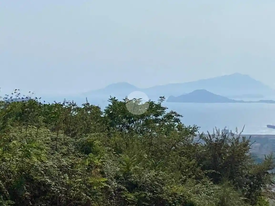 Appartamento in affitto a Napoli