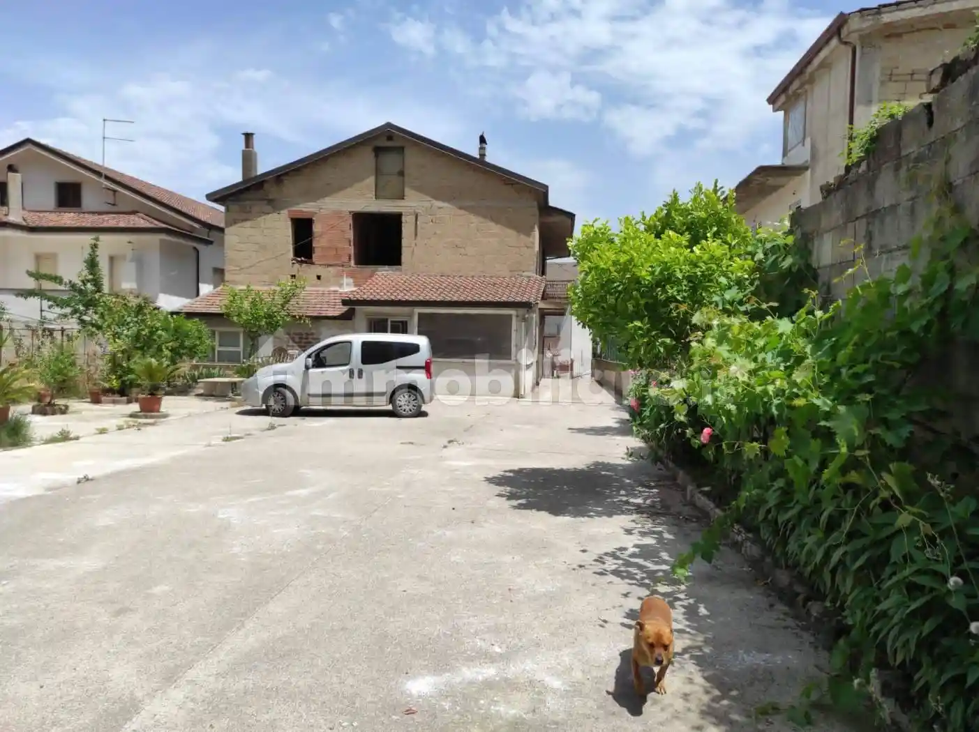 Palazzo - Edificio in vendita a Limatola