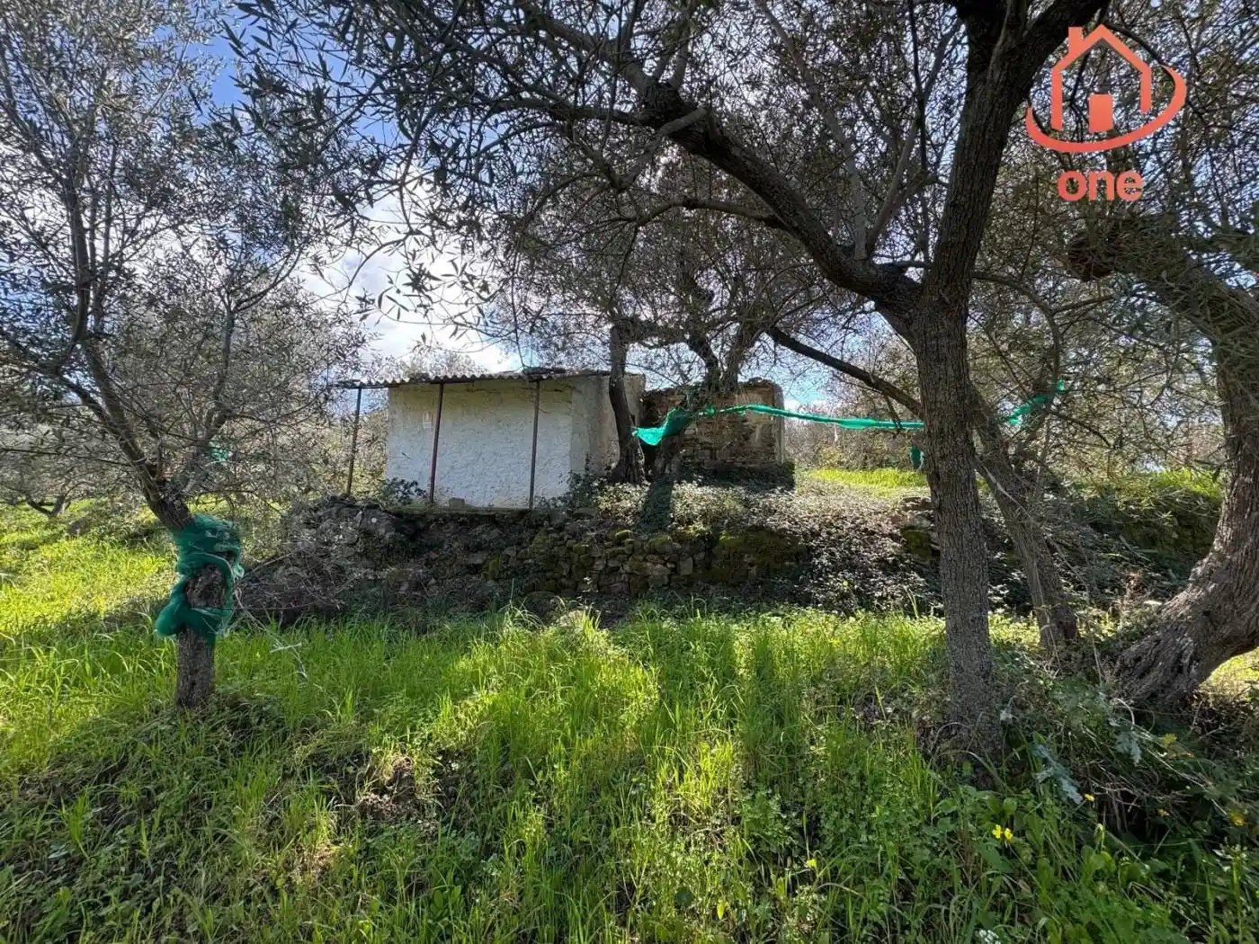 Rustico - Casale in vendita a Perdifumo