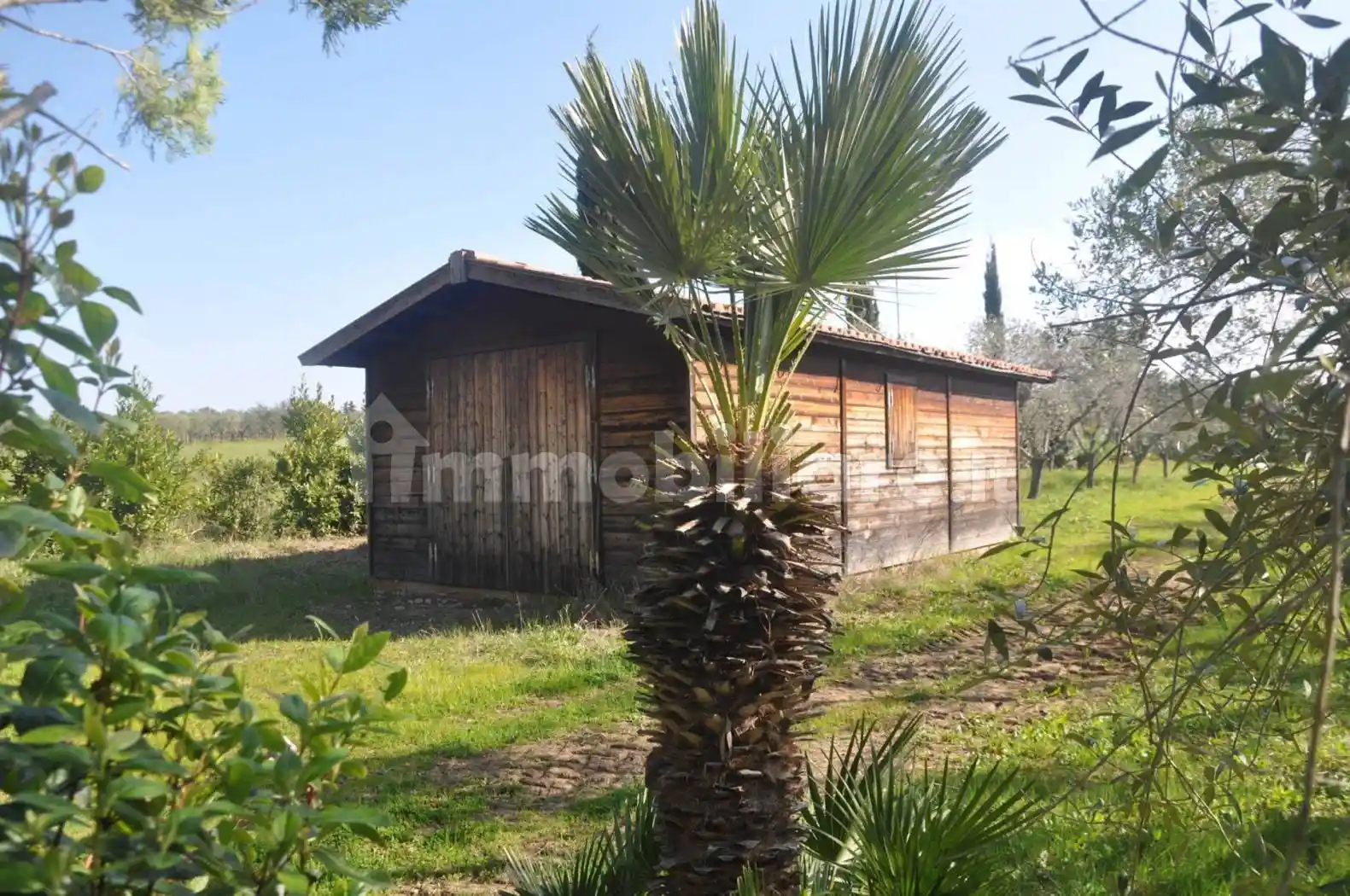 Rustico - Casale in vendita a Cecina