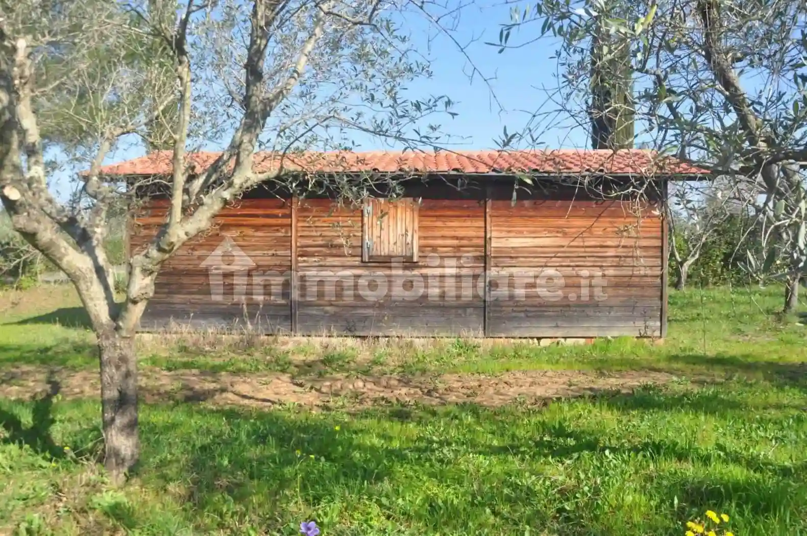 Rustico - Casale - foto 2