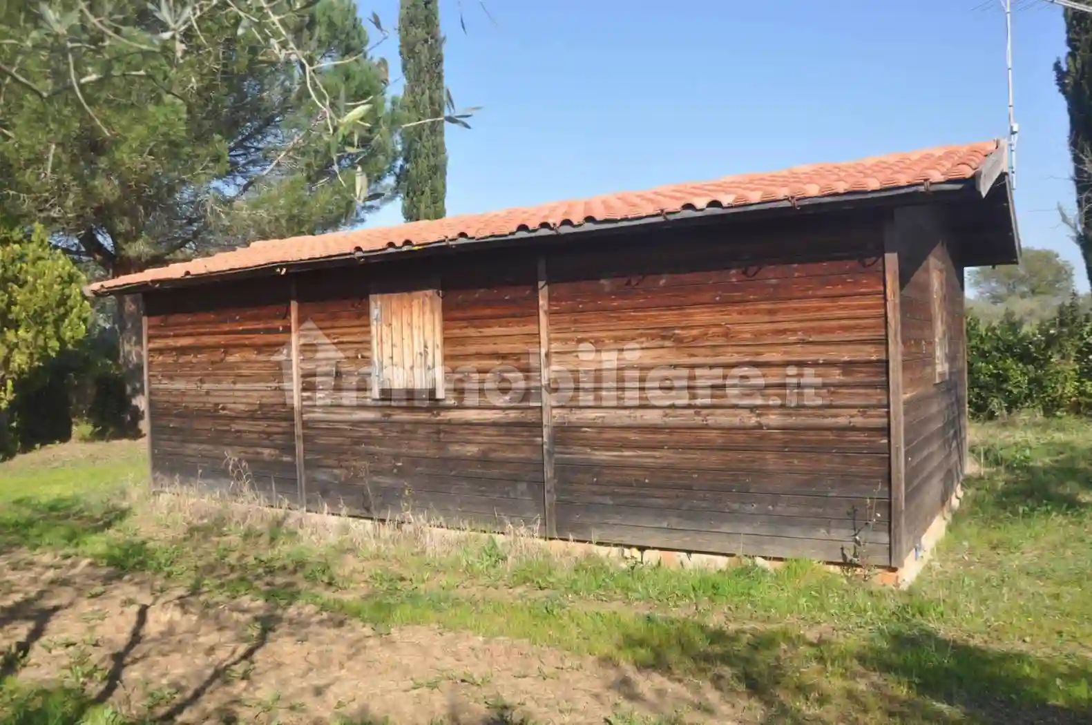 Rustico - Casale - foto 5