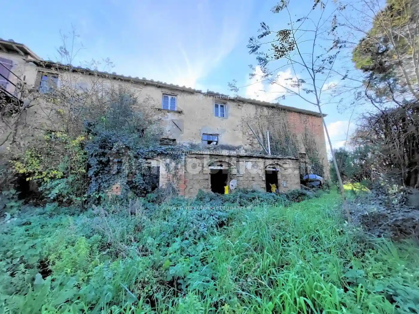 Rustico - Casale - foto 3