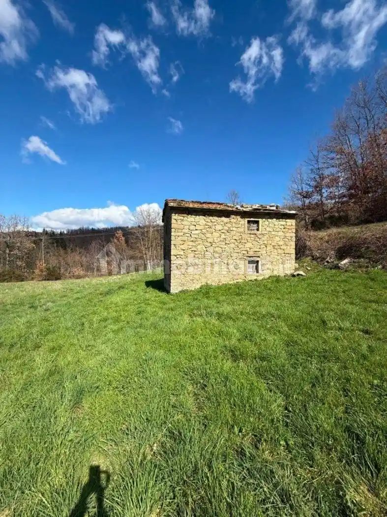 Rustico - Casale in vendita a Pratovecchio e Stia