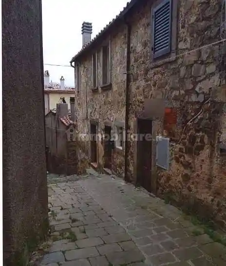 Appartamento in vendita a Arcidosso