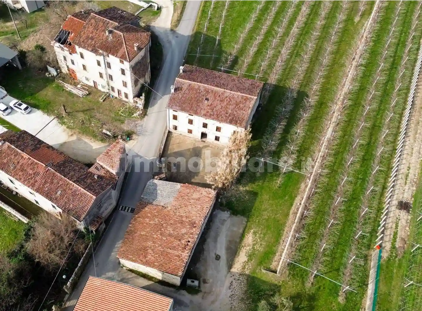 Rustico - Casale - foto 5