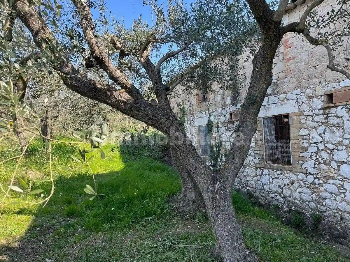 Rustico - Casale - foto 3