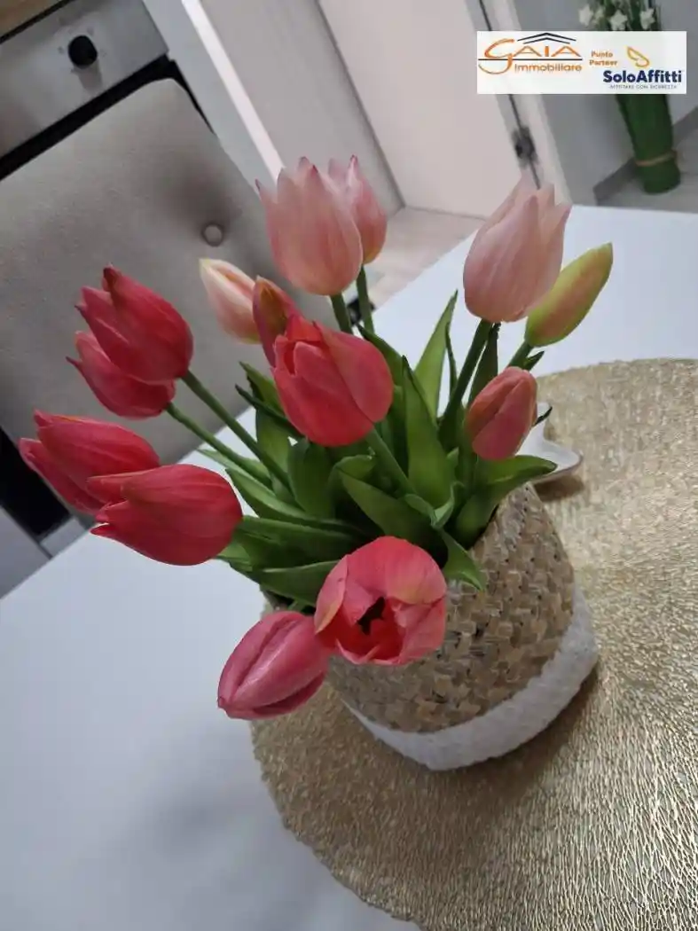 Appartamento in vendita a Ponte San Nicolò