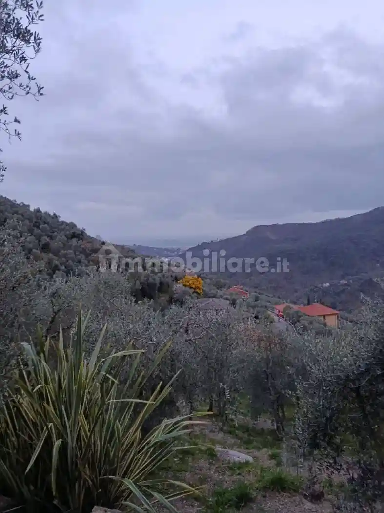 Rustico - Casale in vendita a Leivi