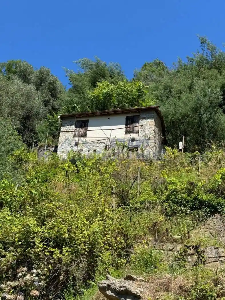 Rustico - Casale in vendita a Badalucco