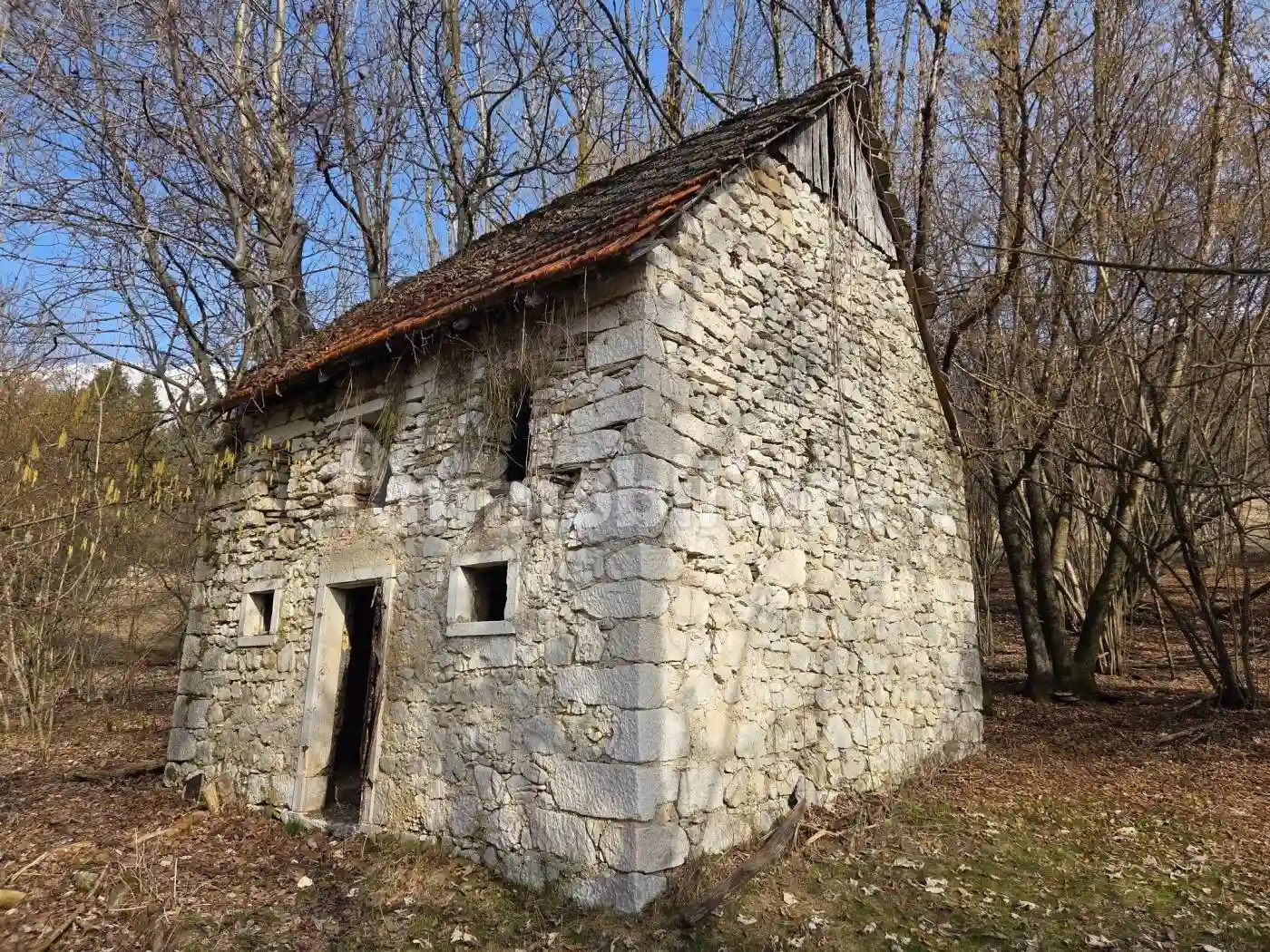 Rustico - Casale - foto 5