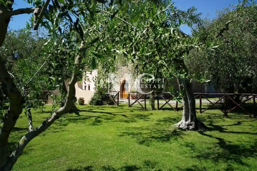 Rustico - Casale in vendita a Scarlino