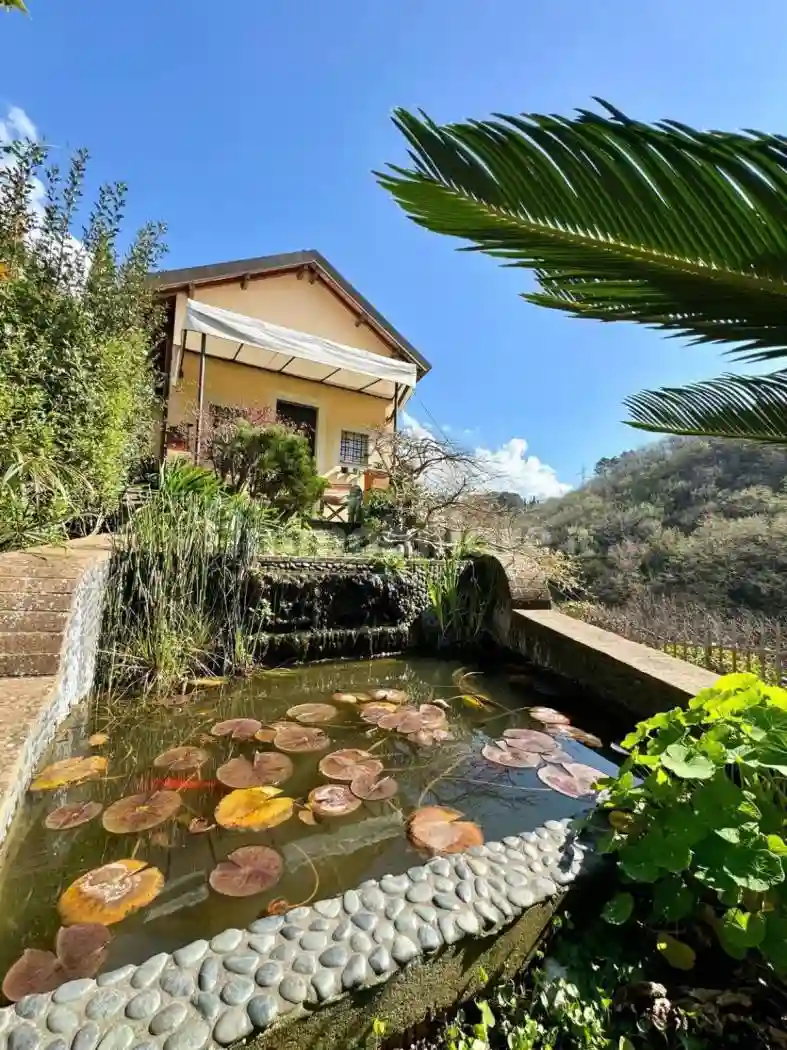 Casa indipendente - foto 3