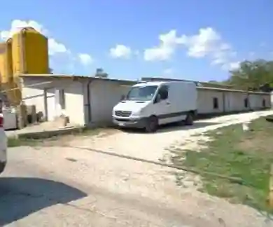 Palazzo - Stabile - foto 3