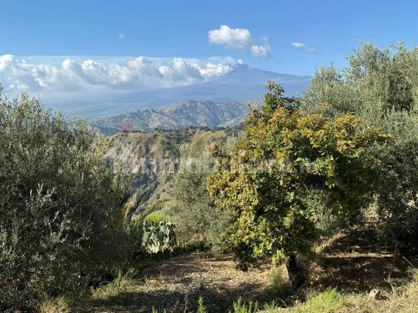 Rustico - Casale in vendita a Castelmola