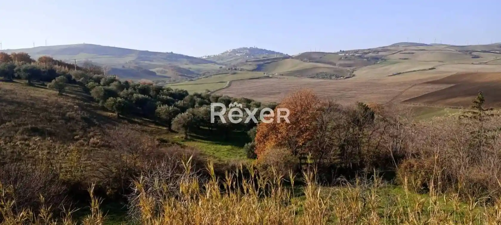 Palazzo - Edificio in vendita a Forenza