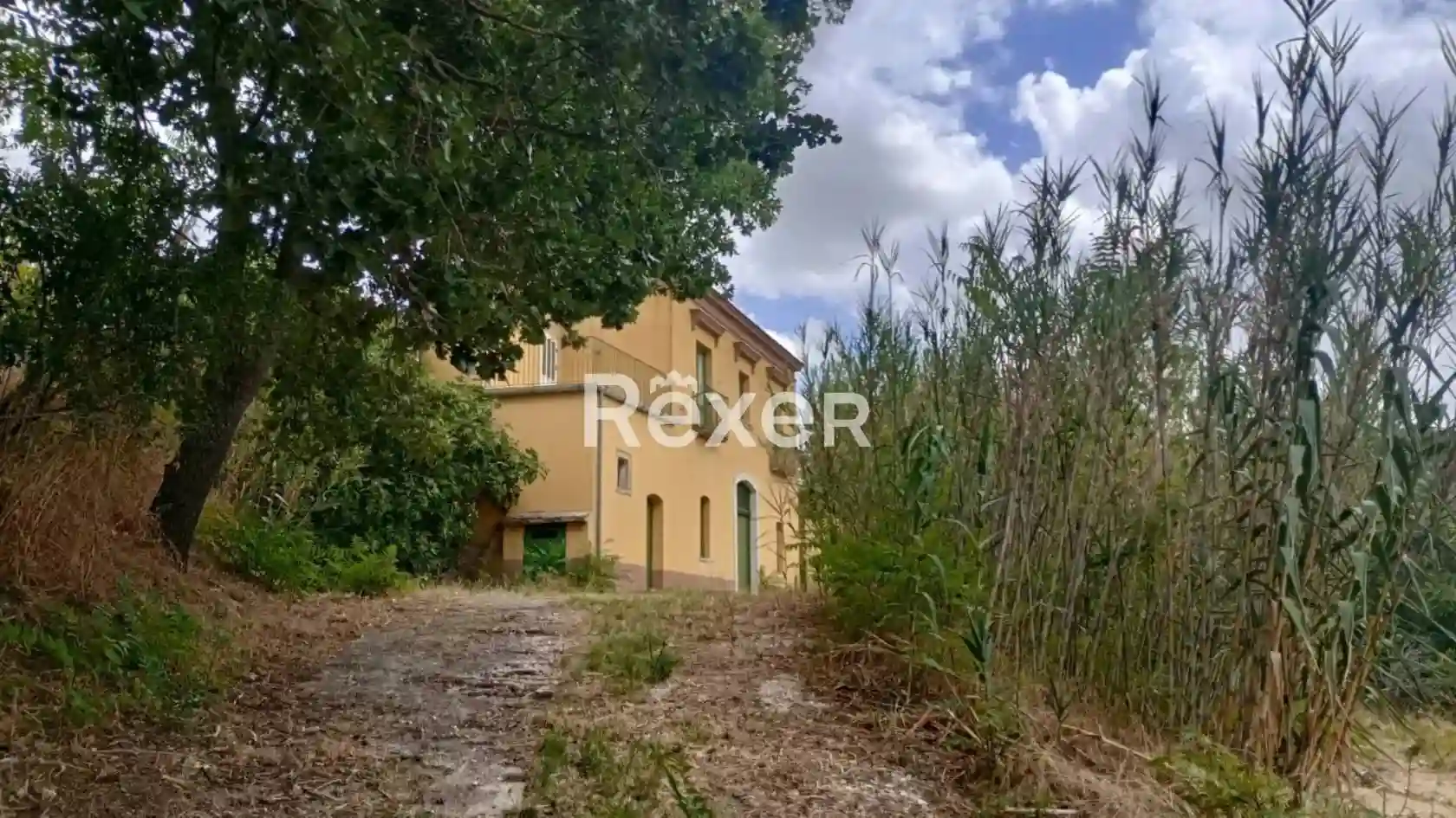 Palazzo - Edificio - foto 4