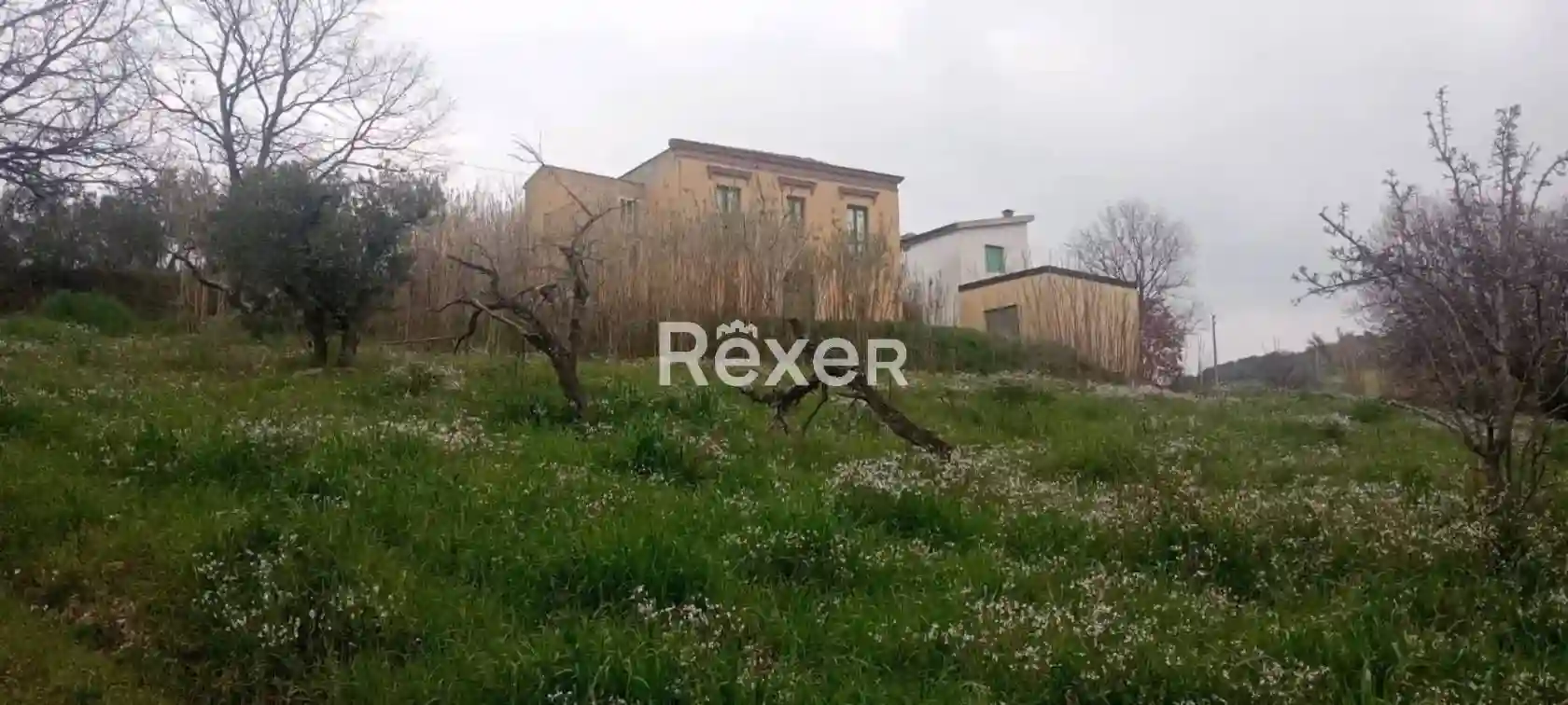 Palazzo - Edificio - foto 5