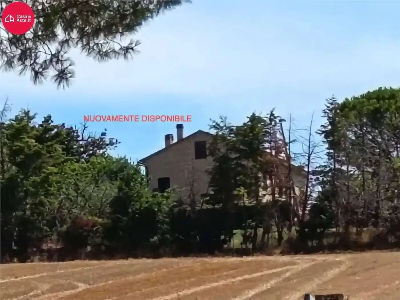 Rustico - Casale in vendita a Monte San Pietrangeli