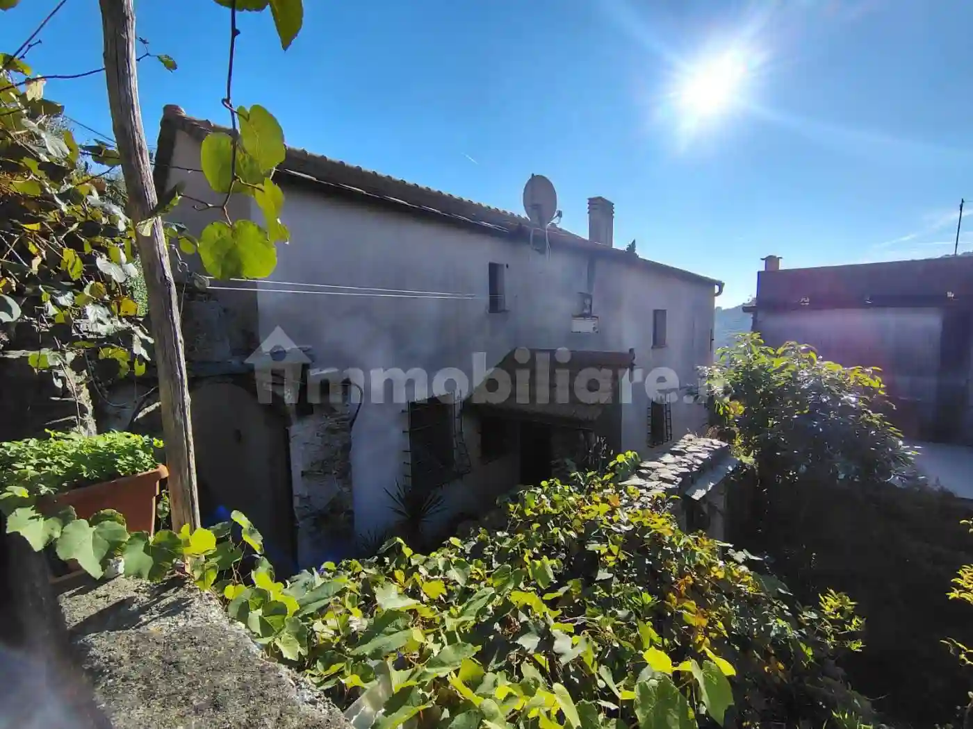 Palazzo - Edificio - foto 4