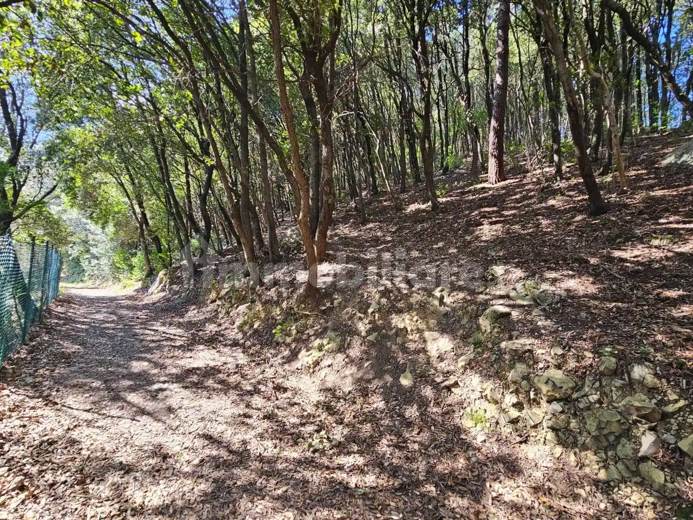 Appartamento in vendita a Prato