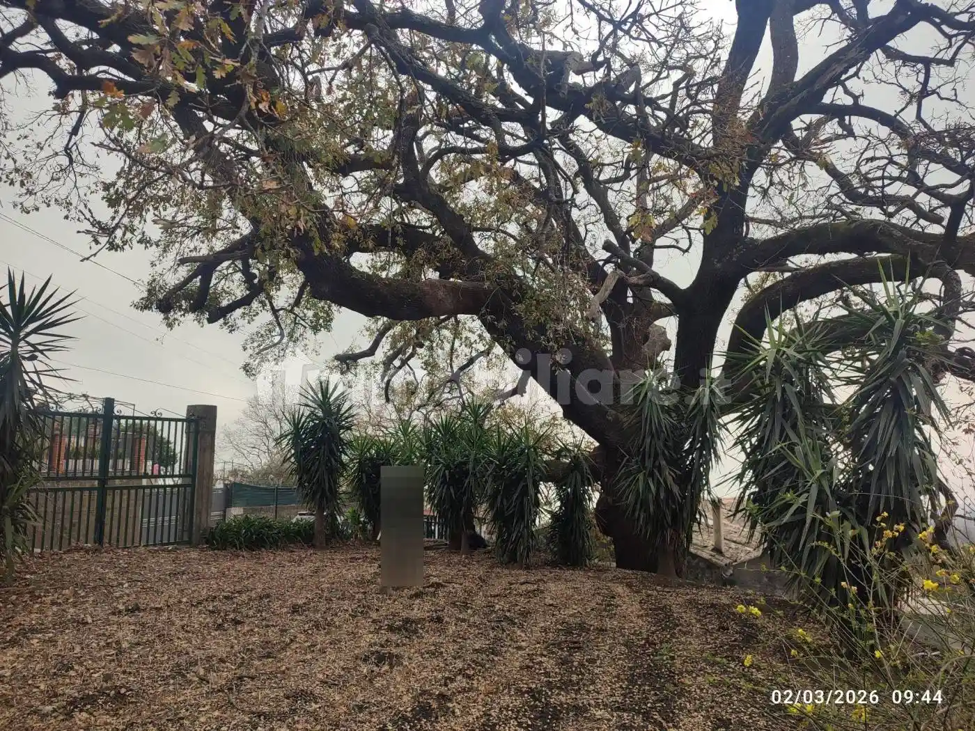 Rustico - Casale in vendita a Milo