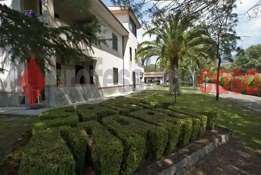 Palazzo - Edificio - foto 4