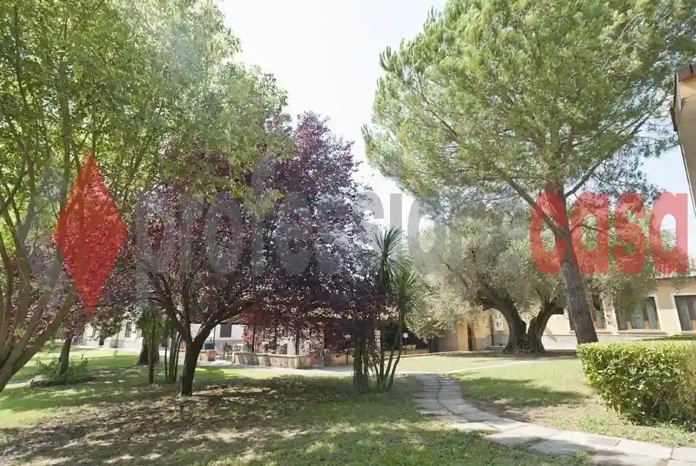 Palazzo - Edificio - foto 5