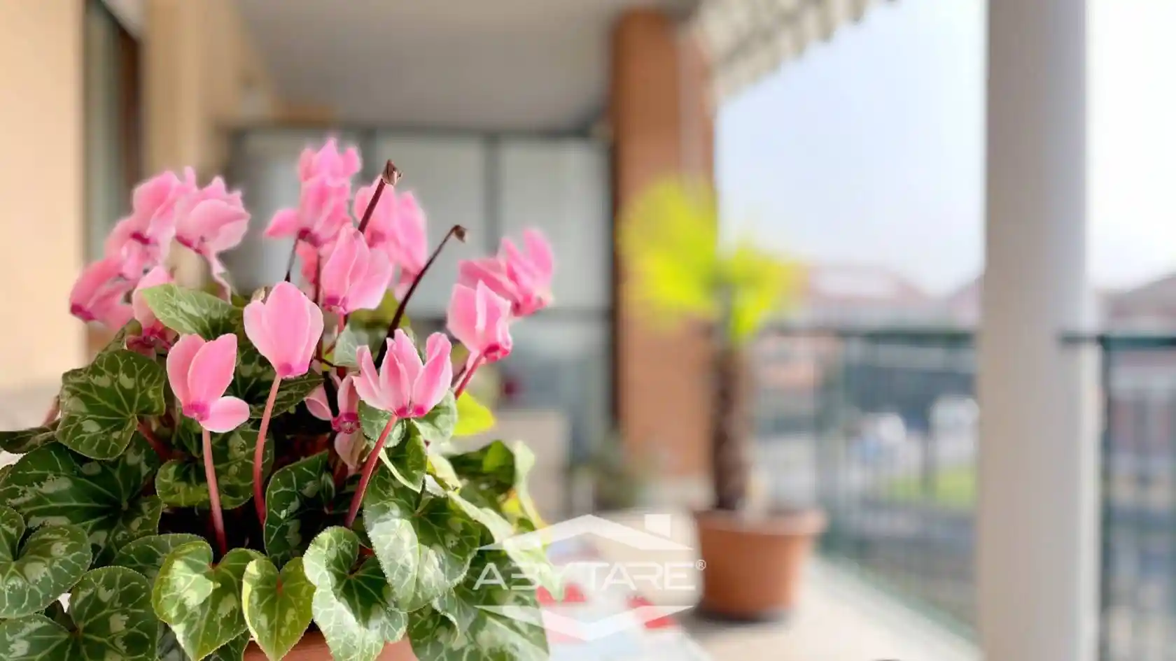 Appartamento in vendita a La Loggia