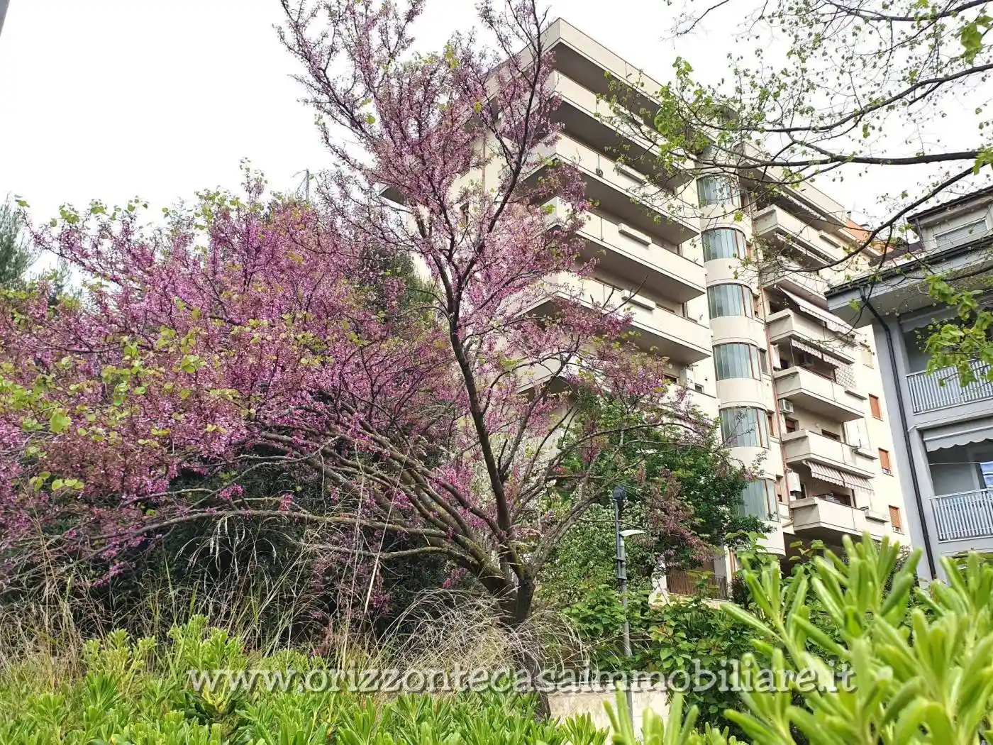 Appartamento in vendita a Ascoli Piceno