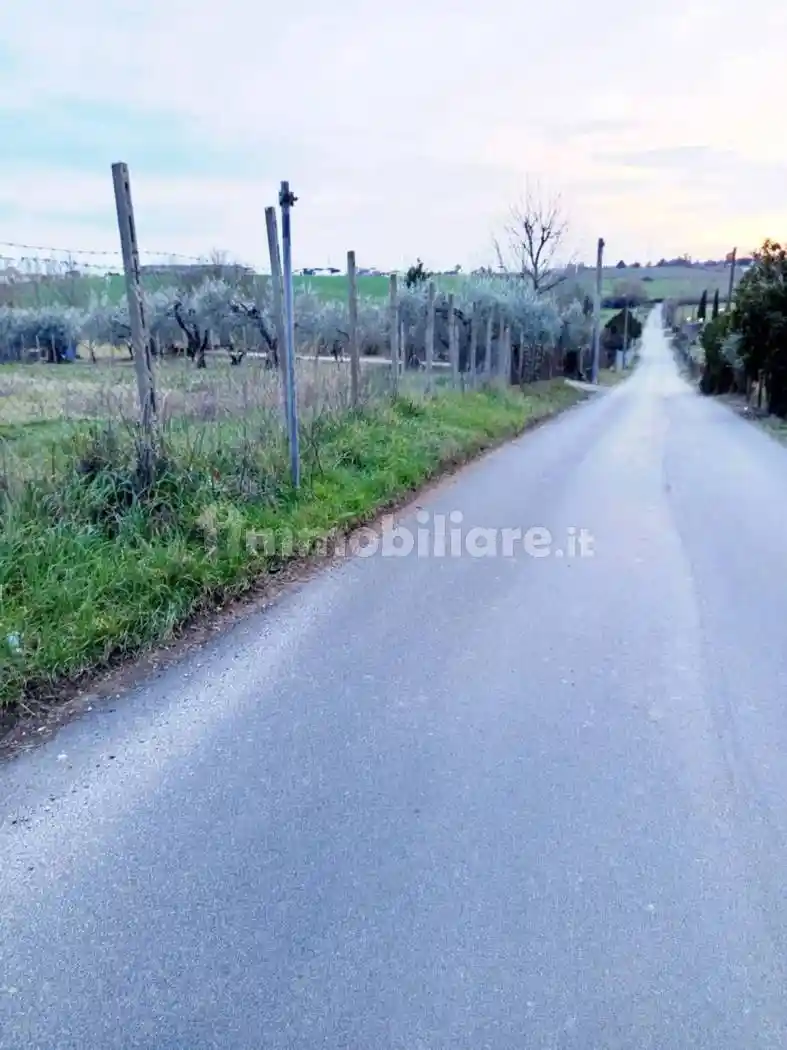 Rustico - Casale in vendita a Montelibretti