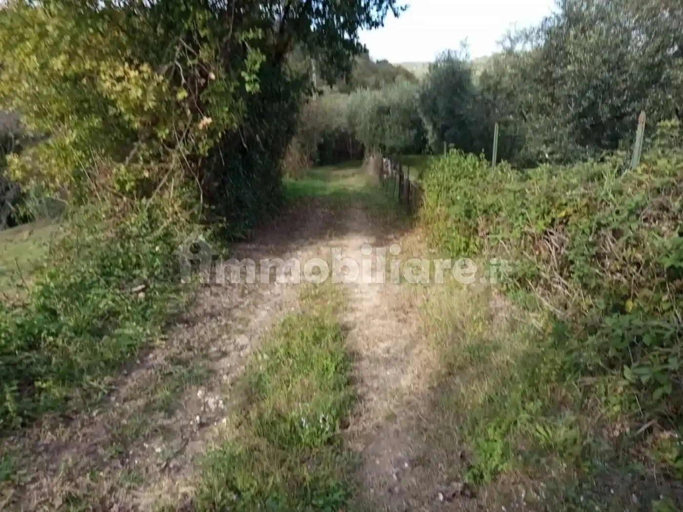 Rustico - Casale in vendita a Palombara Sabina